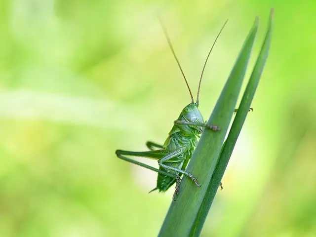 Jak wybrać idealną zmywarkę do swojego domu? Poradnik